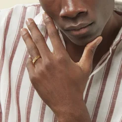 Discount Histoire d'Or Chevaliere Or Jaune Diomedes Diamant