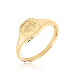 Online Histoire d'Or Chevalière Aviv Plaqué Or Jaune