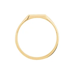 Histoire d'Or Chevalière Daniel* Bijoux Personnalisés|Bagues