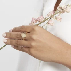 Sale Histoire d'Or Chevalière Gwennen Plaqué Or Oxyde De Zirconium