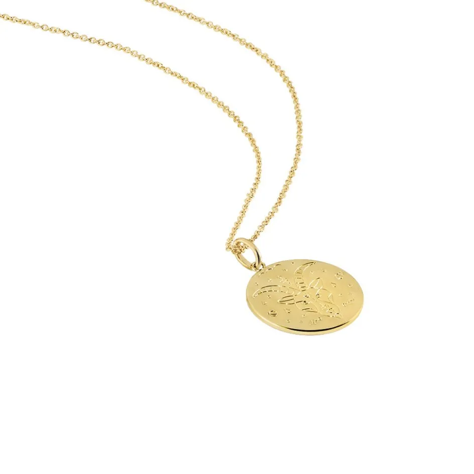 Histoire d'Or Collier Astro Plaqué Or* Colliers|Colliers