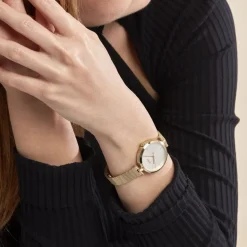 Clearance HUGO BOSS Montre Boss Majesty Argenté