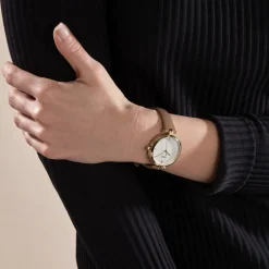 Hot HUGO BOSS Montre Boss Majesty Argenté