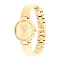 CALVIN KLEIN Montre Elevadted Doré